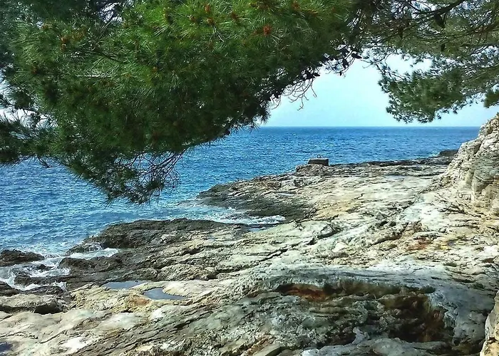 Apartman Iris Croatica *