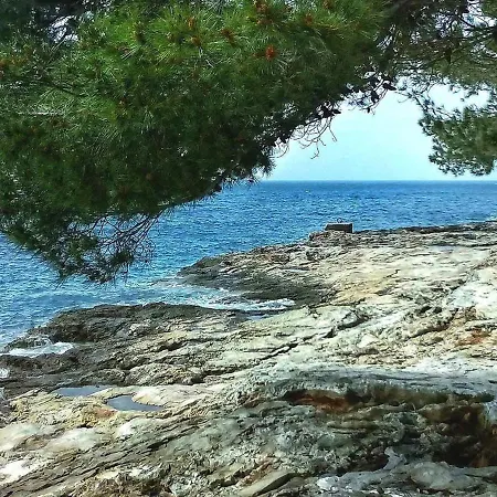 Appartement Iris Croatica By Interhome *